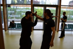 hunggarnancy-artsmartiaux-wushu-kungfu-demonstration-23avril2016-17               